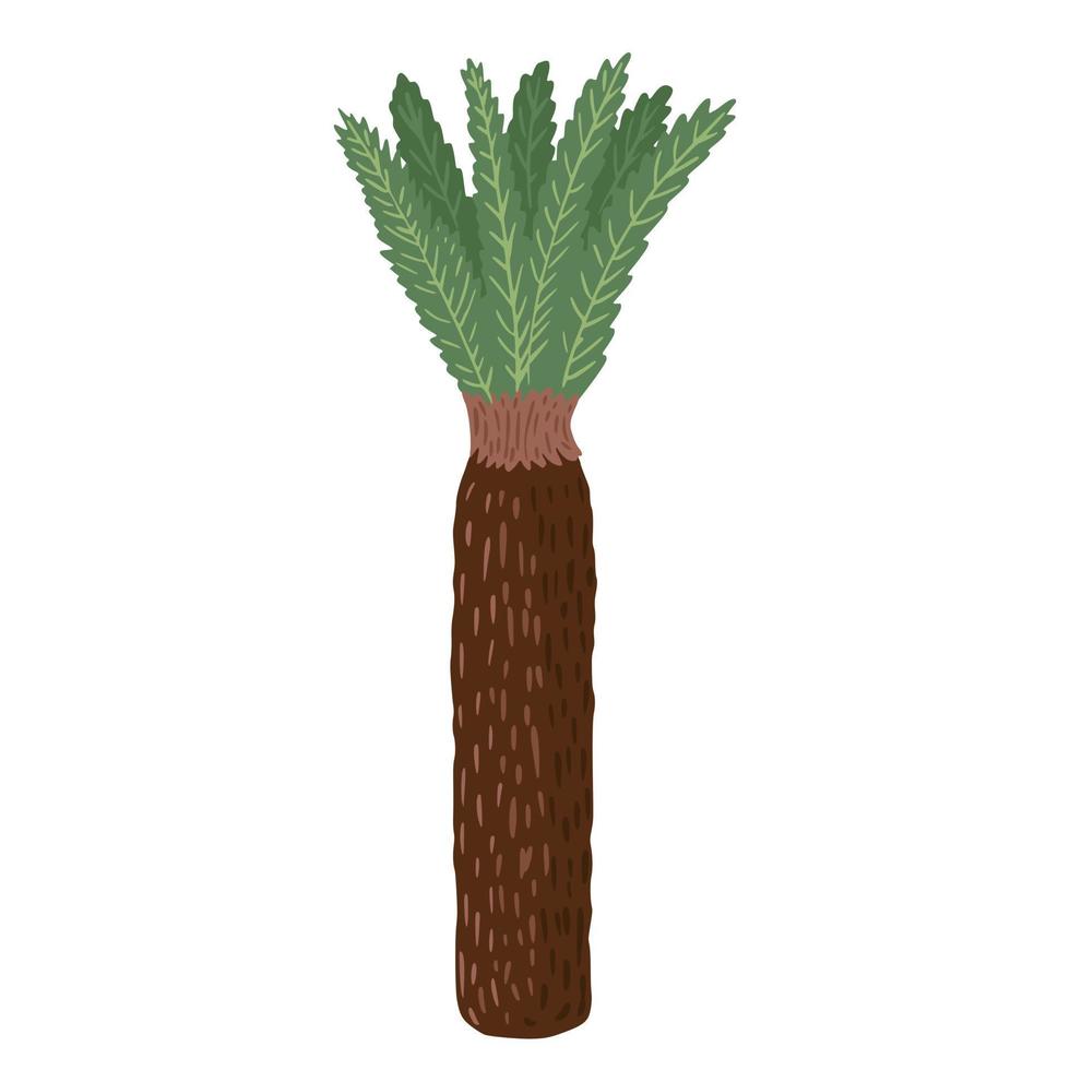 Palm isolated on white background. Jungle tree cartoon in doodle style vector