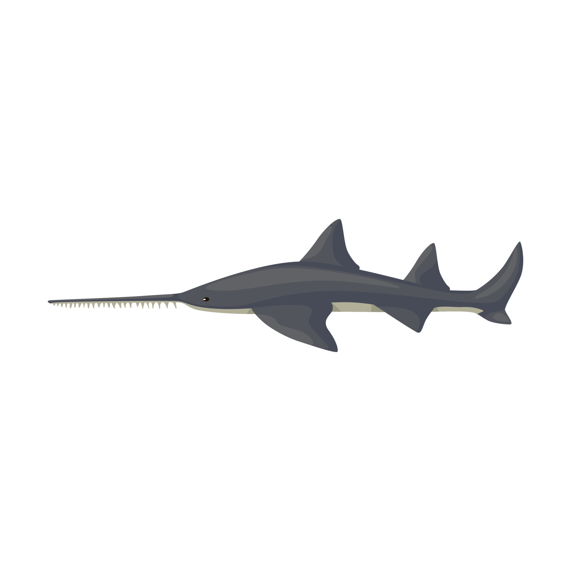 Saw shark isolated on white background. Cartoon character of ocean