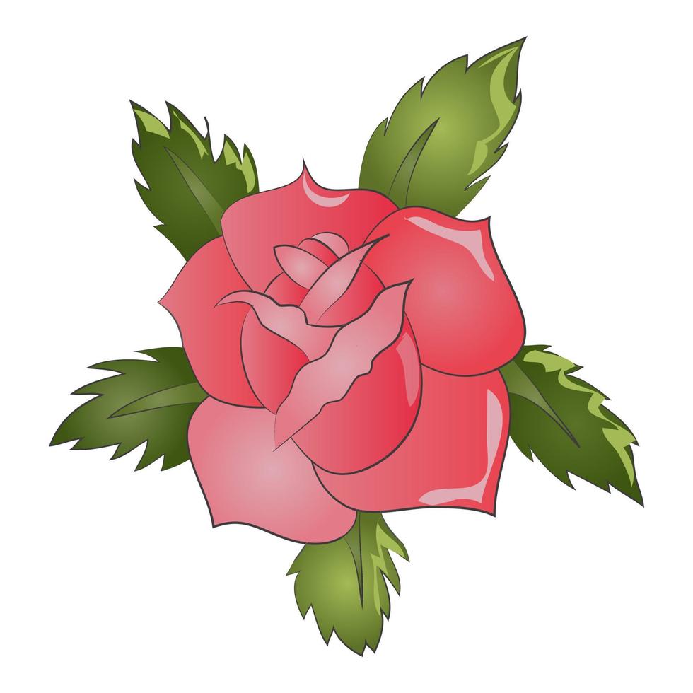 Rose Flower Illustration vector