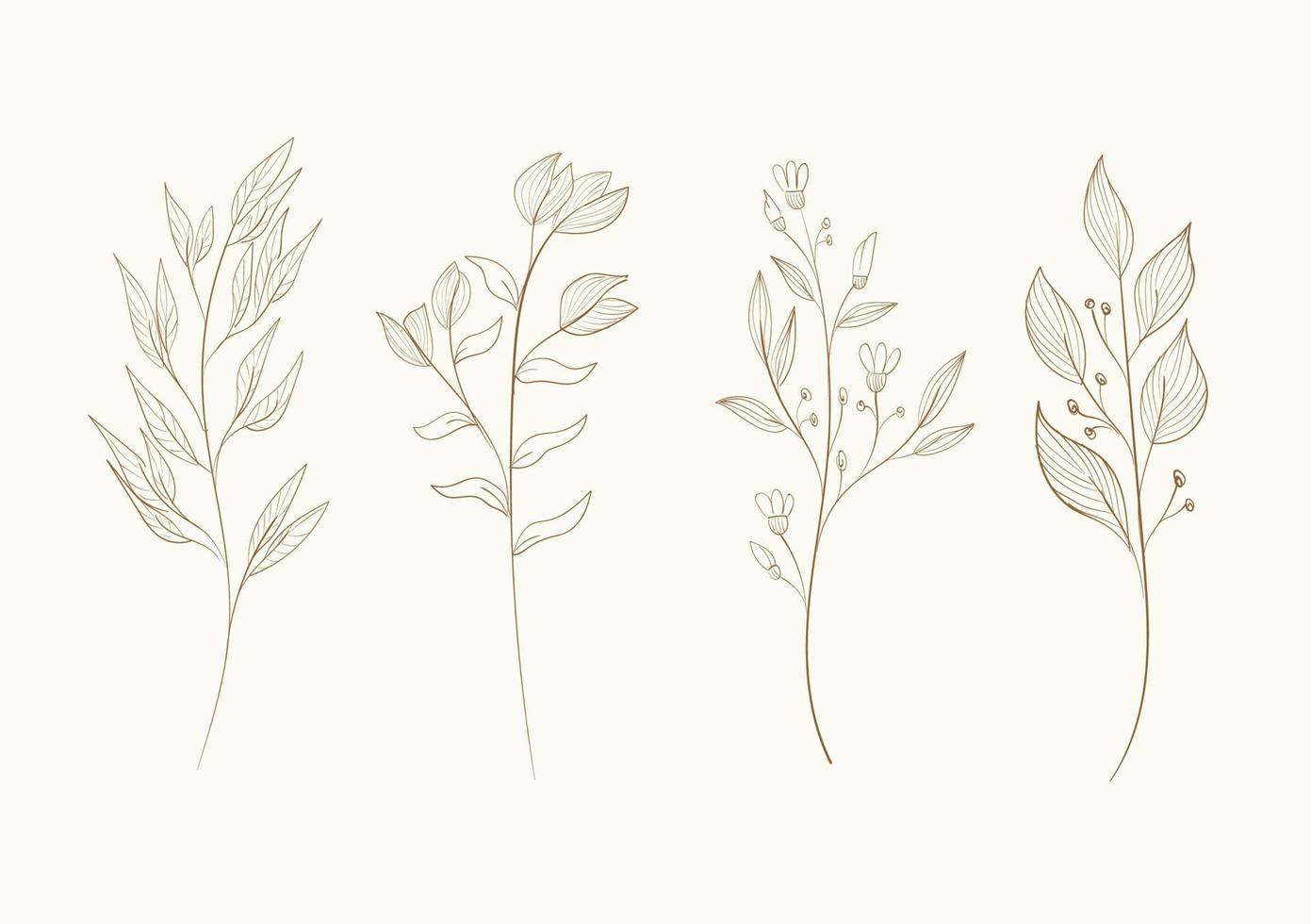 handdrawn floral line art collection vector