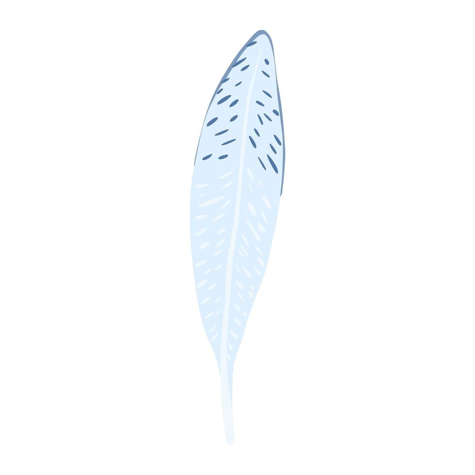 Feather isolated on white background. Hand drawn graphic element. vector