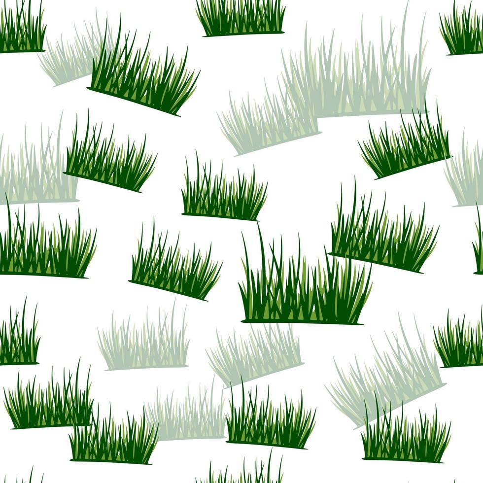 Grass seamless pattern. Background of lawn.Vector illustration. vector