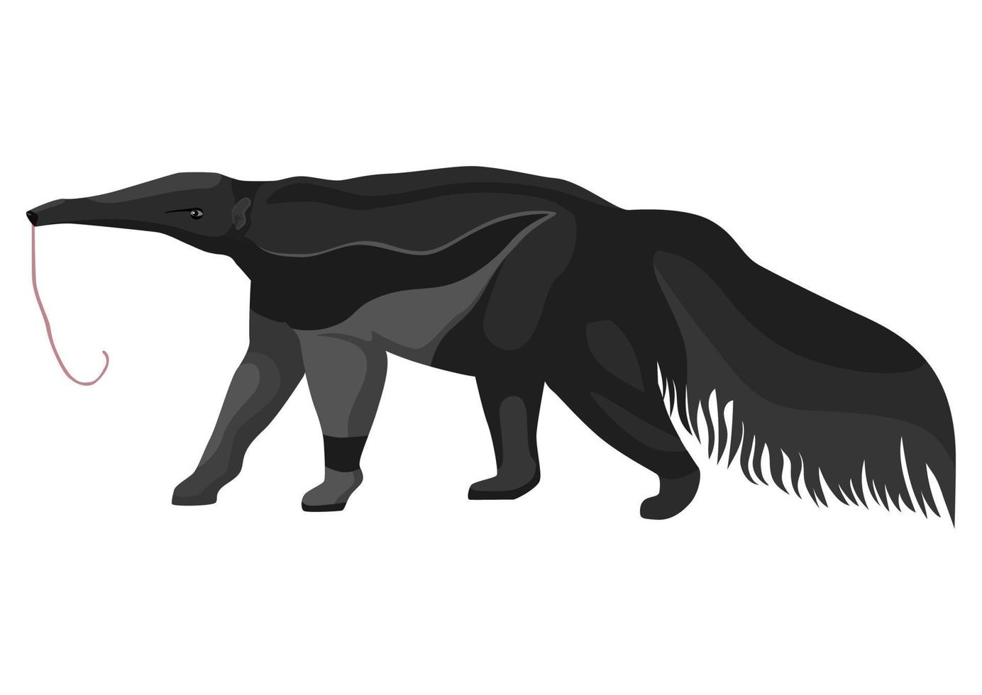 Anteaters illustration on isolated white background. vector