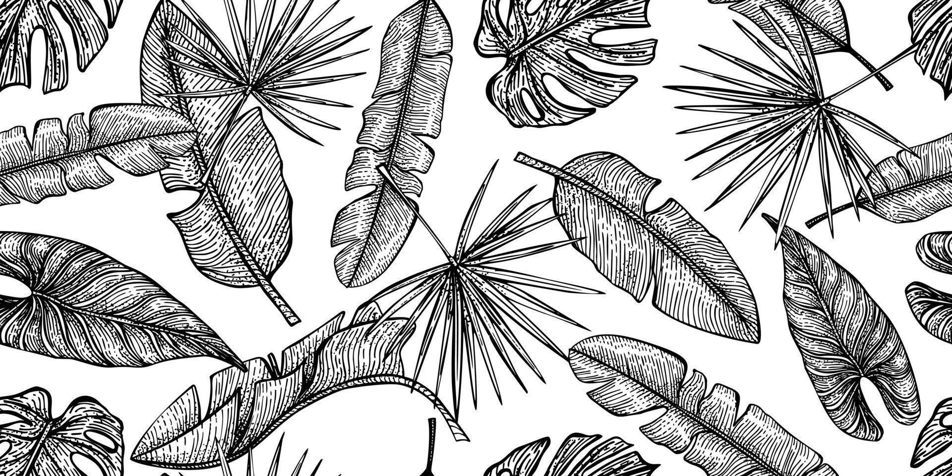 patrón sin costuras de hojas tropicales grabadas. textura botánica en estilo dibujado a mano. fondo retro de la selva tropical. vector