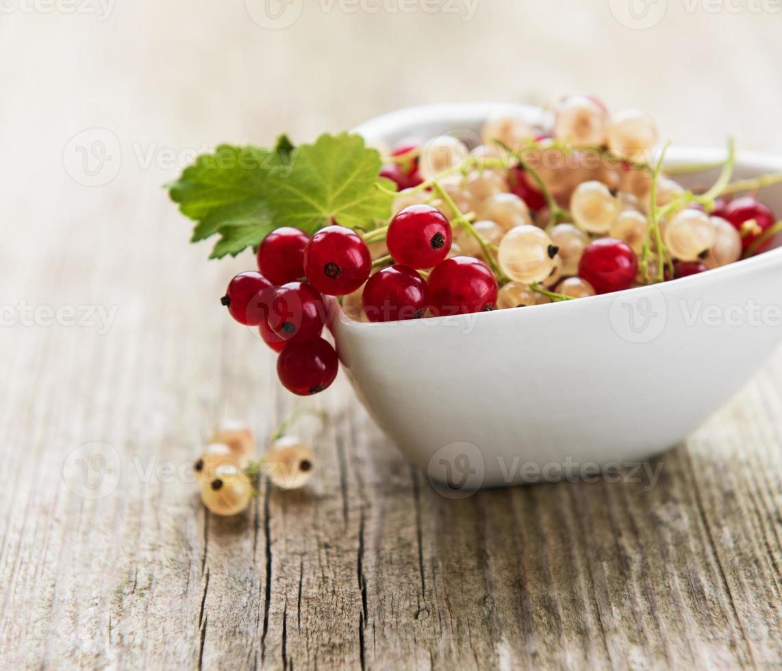 Red currants on table photo