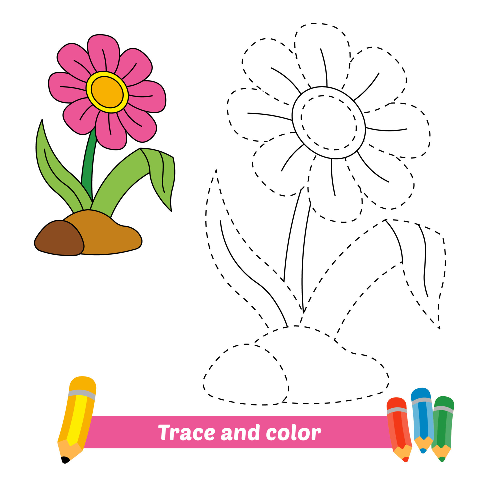 Flower Pictures To Trace Best Flower Site