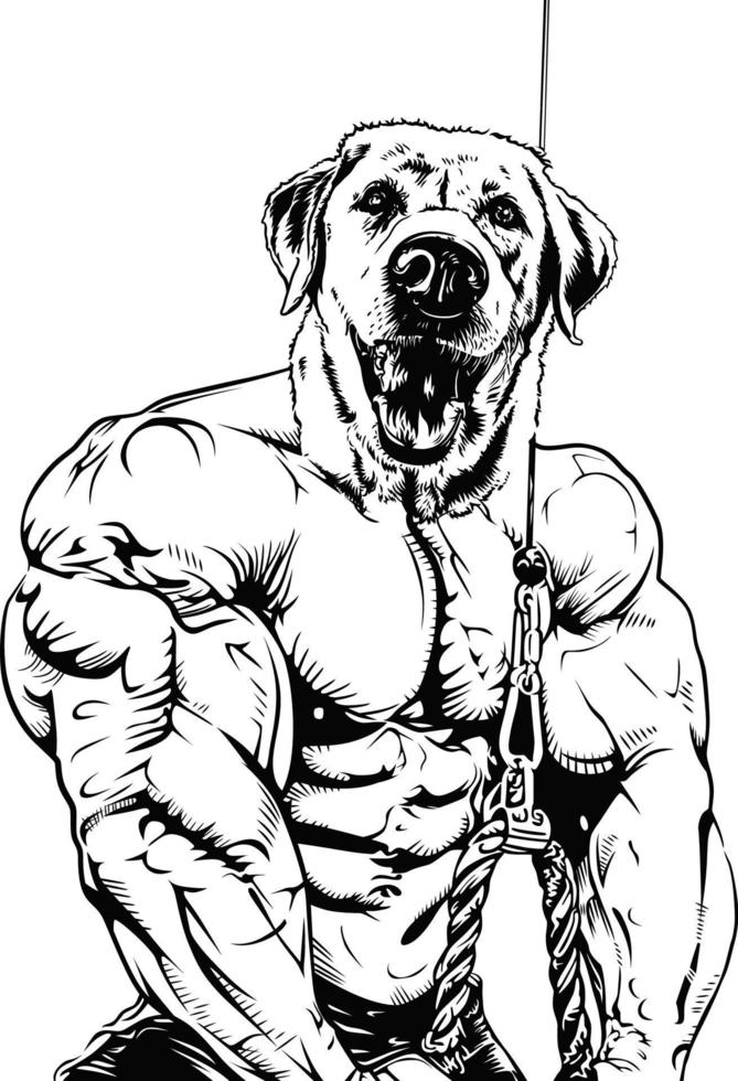 Muscular dog vector illustration in training