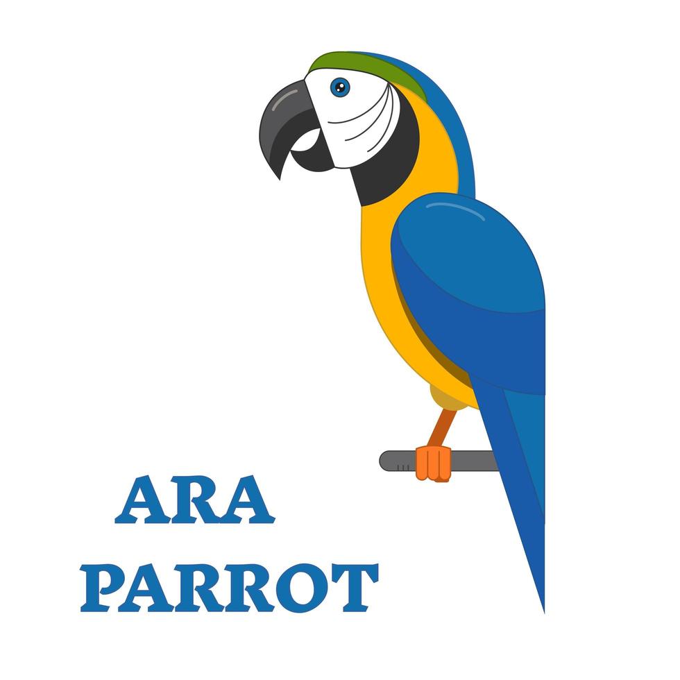 Tropical Bird Ara Parrot vector