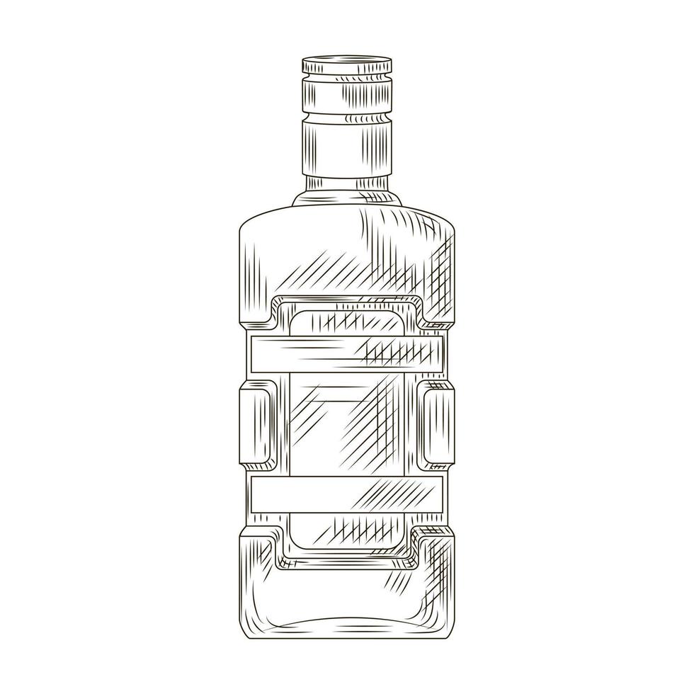 Bottle Becherovka isolated on white background. Bottle in engraved style. vector