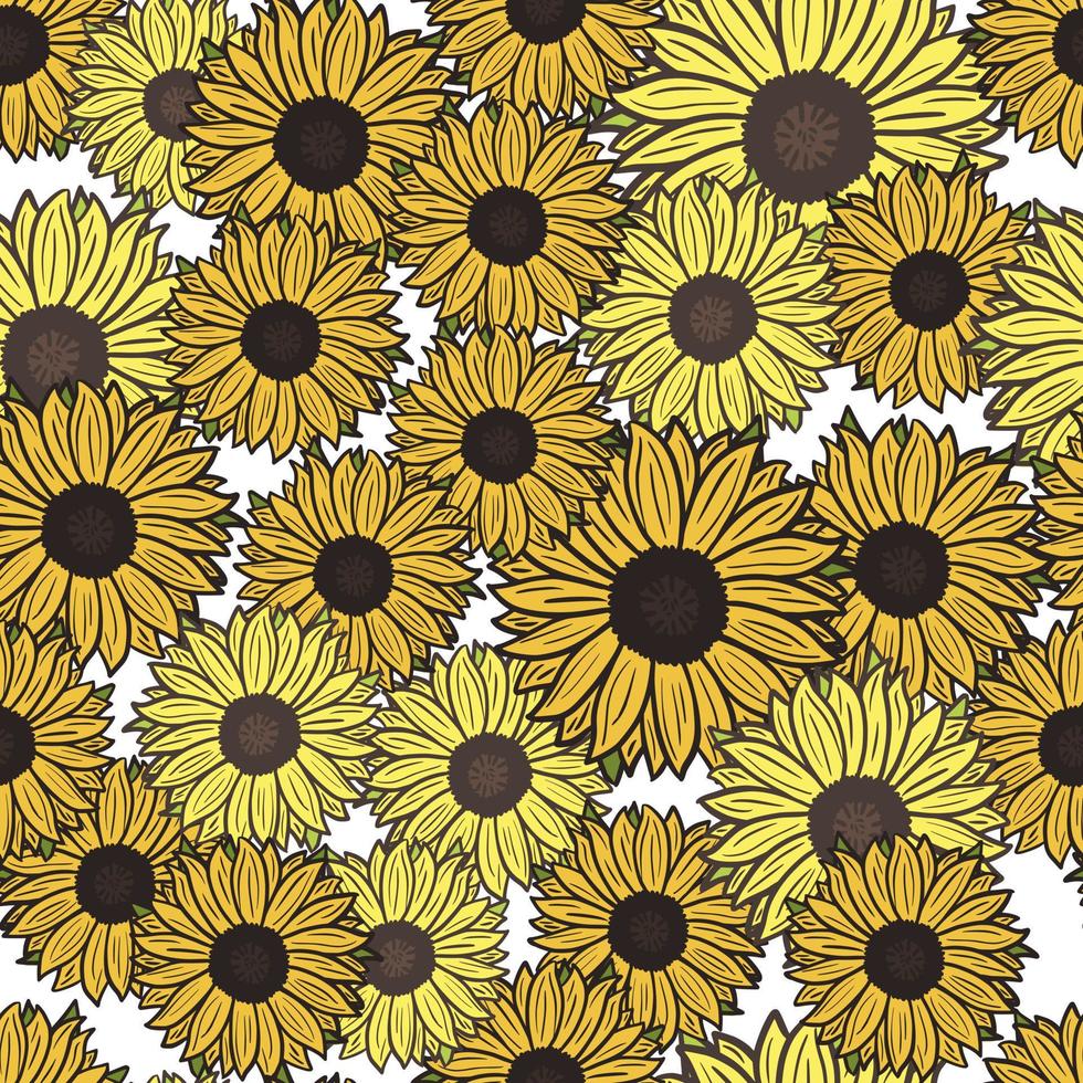 Seamless pattern sunflowers on white background. Beautiful texture with bright yellow sunflower and leaves. vector