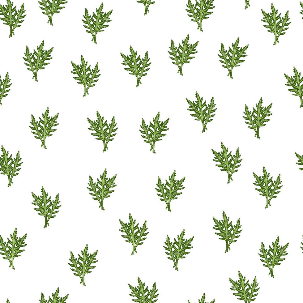 Seamless pattern bunch arugula salad on white background. Simple ornament with lettuce. vector