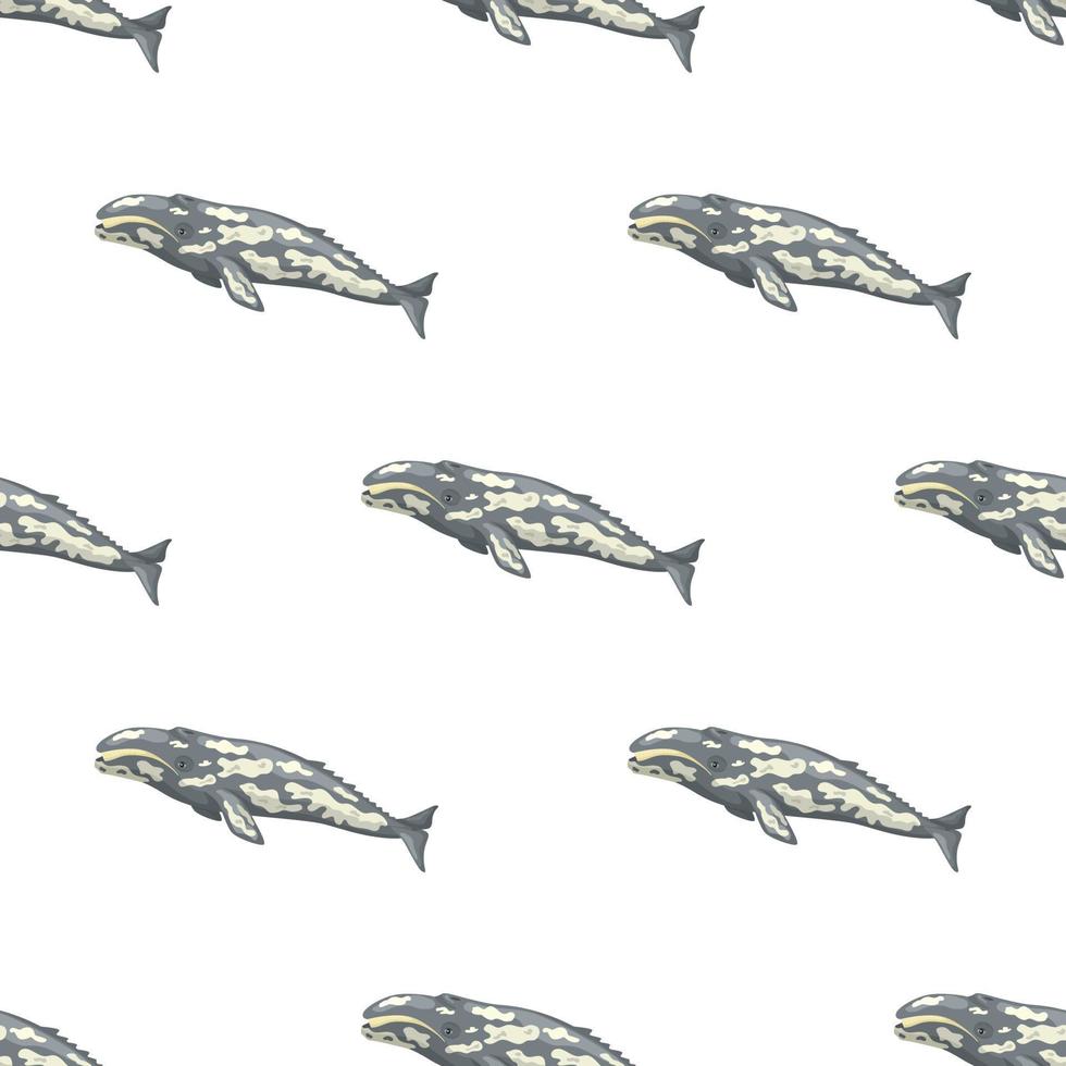 Seamless pattern with gray whale on white background. Template of cartoon character of ocean for fabric. vector