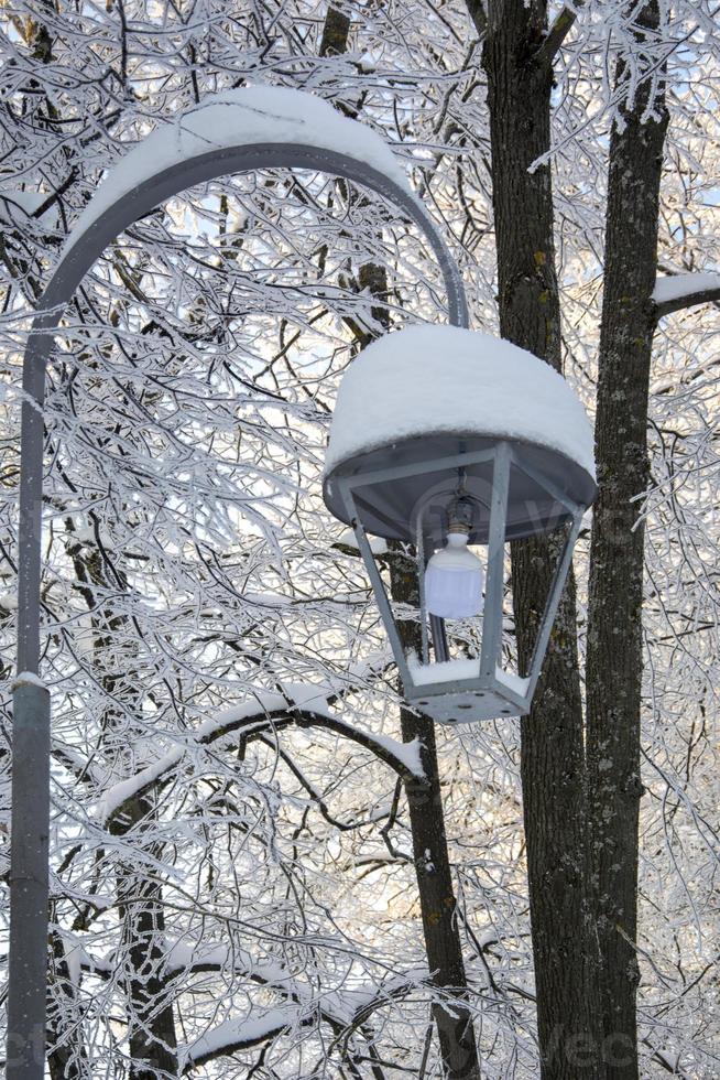Lampposts in the snow in the park. Snow lies on the branches of trees. Snowy frosty winter. photo
