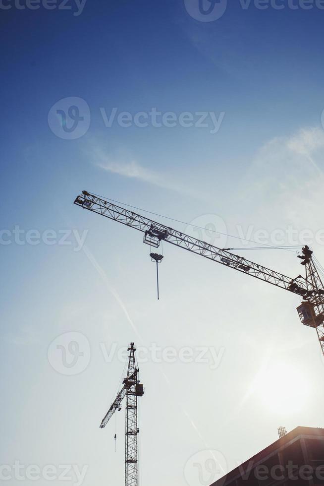 silhouettes of construction cranes photo