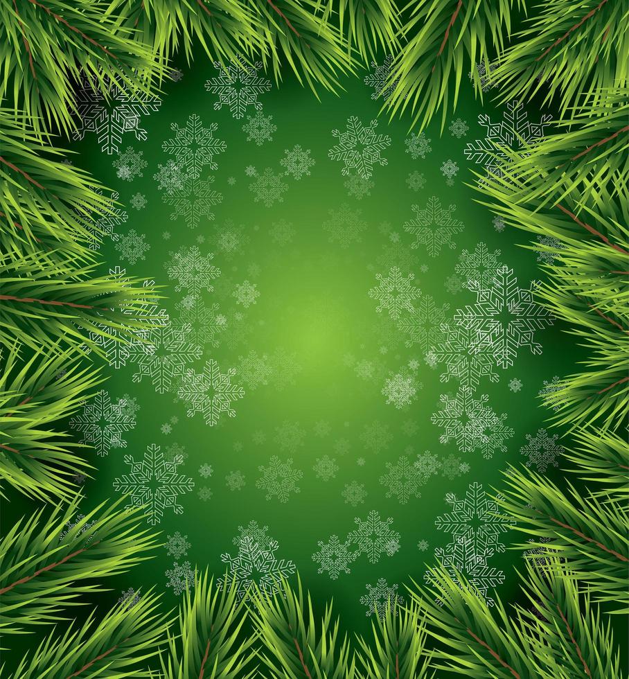 Christmas card with white snowflakes and pine branch. vector