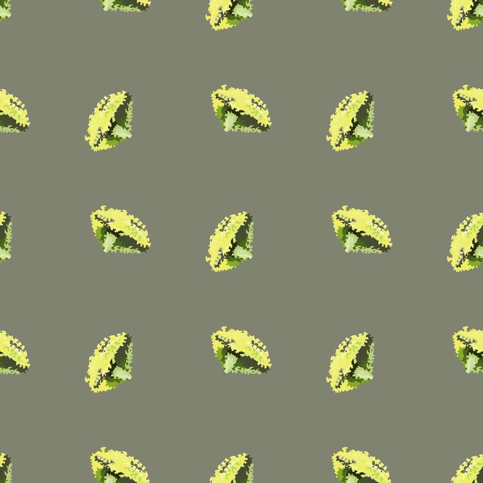 Seamless pattern lola rosa salad on green background. Modern ornament with lettuce. vector