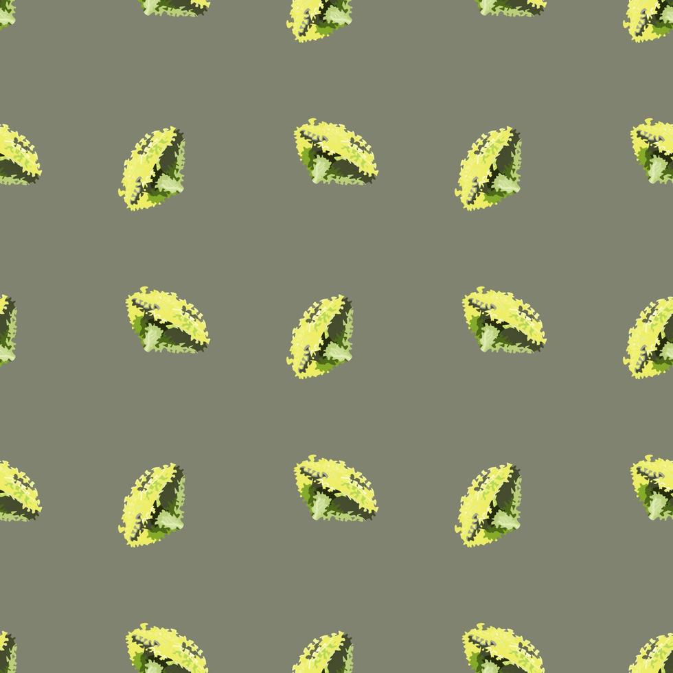 Seamless pattern lola rosa salad on green background. Modern ornament with lettuce. vector