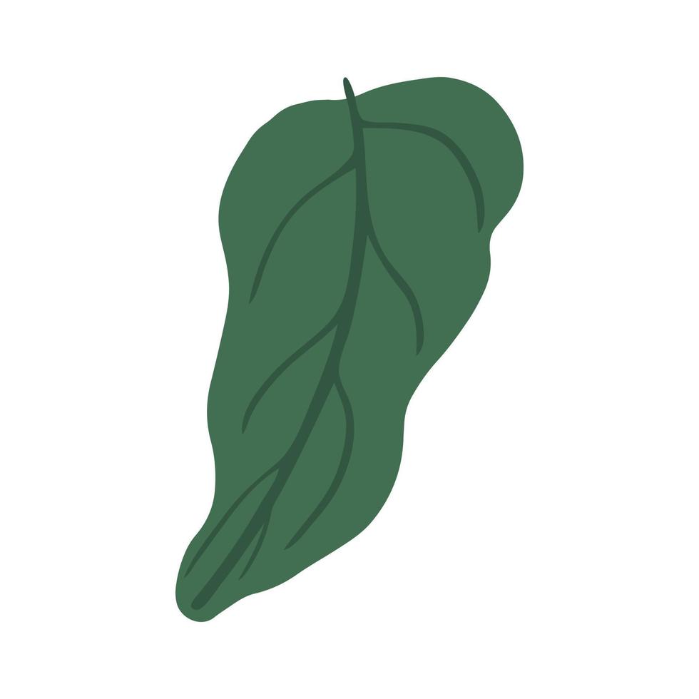 Green leaf isolated on white background. Simple illustration vector