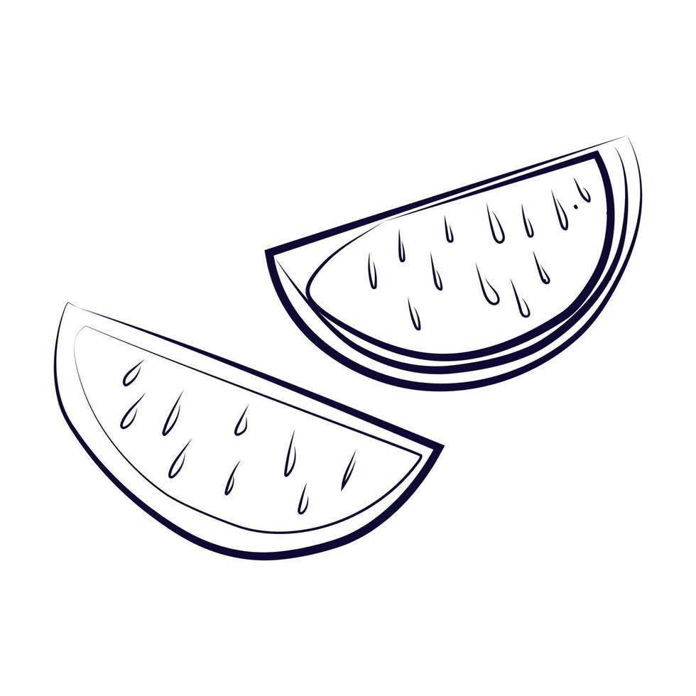 Hand drawn lime. simple engraving style illustration vector