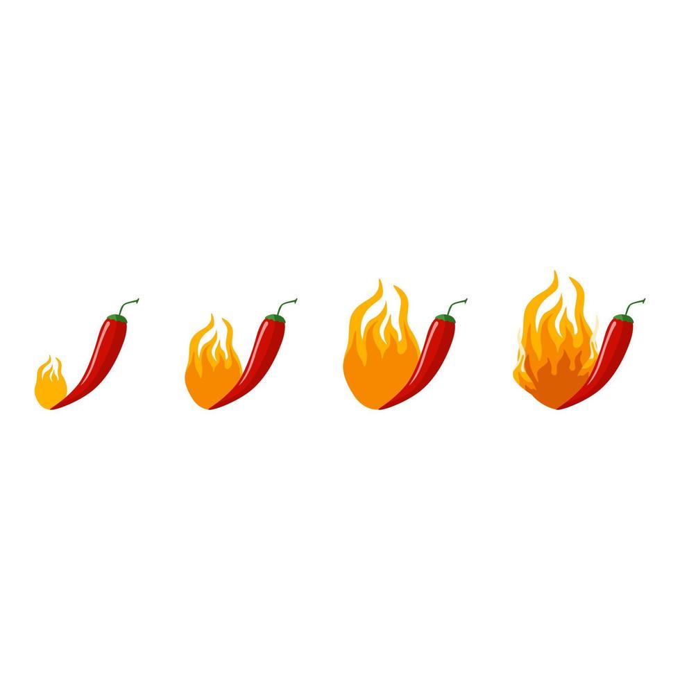Spicy chilli pepper indicator with fire isolated on white background. Symbol for food menu restaurant in flat style. vector