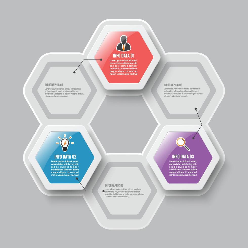 Vector illustration infographics 3 options. Template for brochure, business, web design