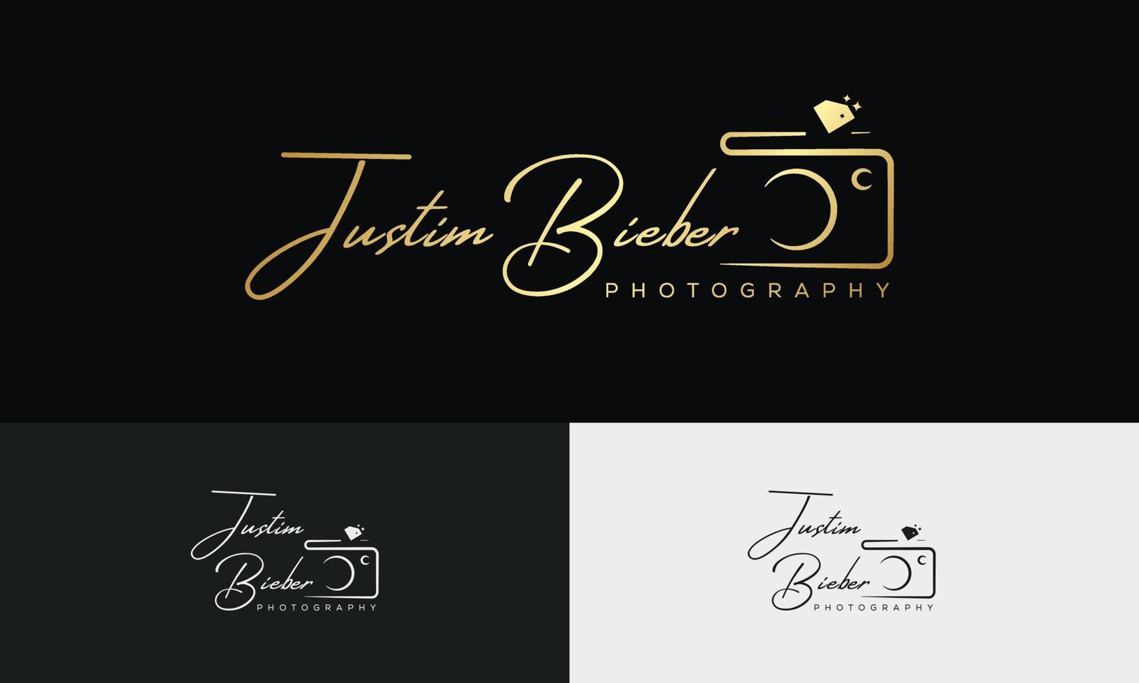 Handwriting Photography logo template vector. signature logo concept vector