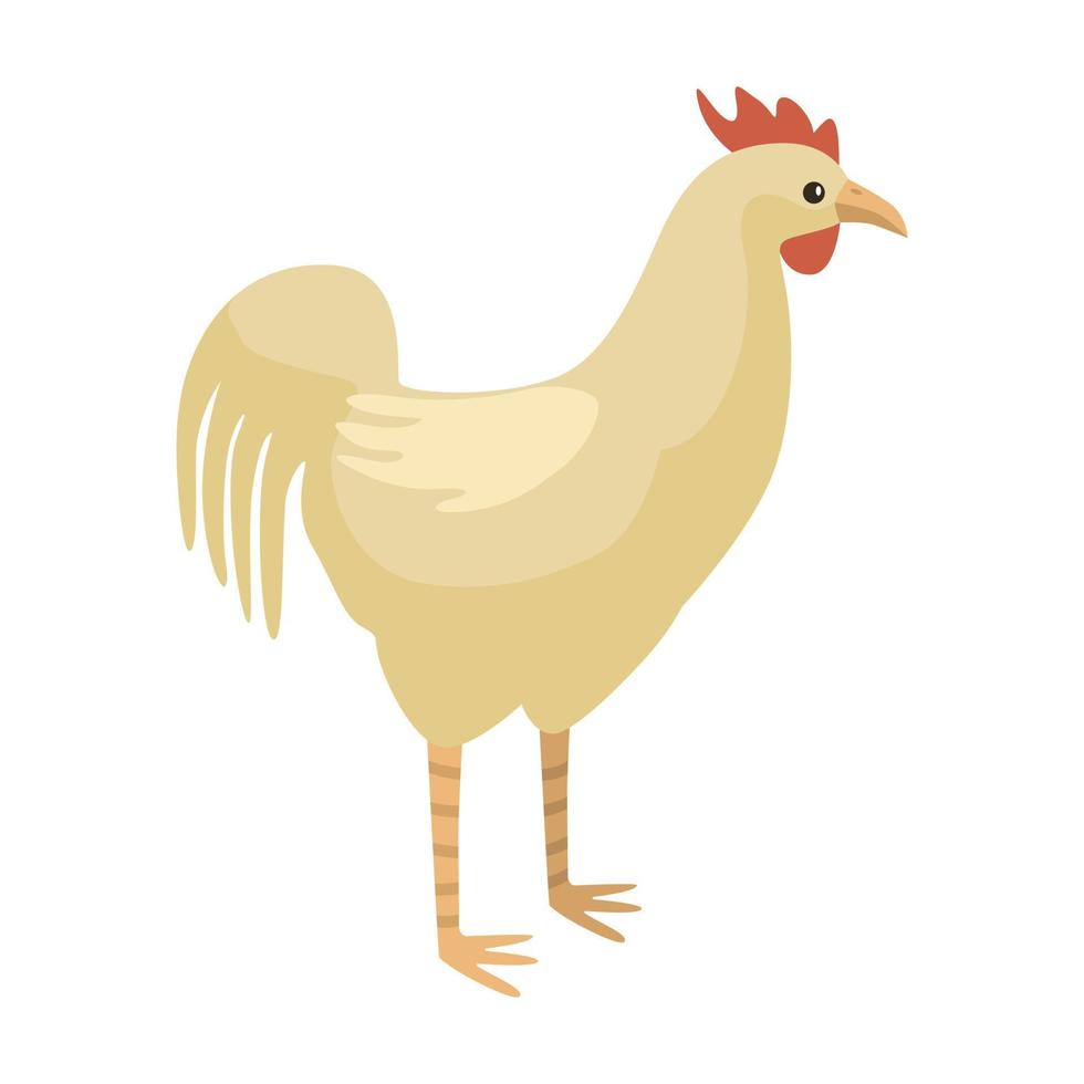 Cute rooster isolated on white background. Funny cartoon character farm white color. vector