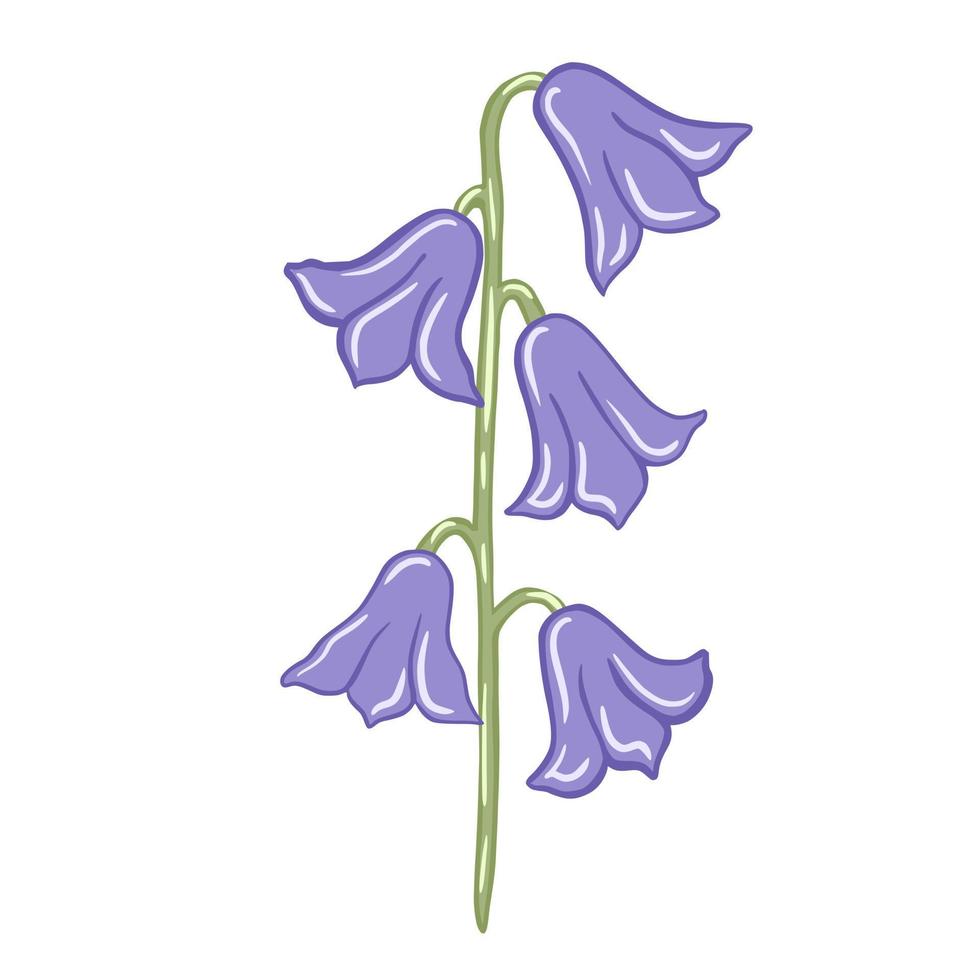 Purple bluebells isolated on white background. Beautiful hand drawn botanical sketches for any purpose. vector