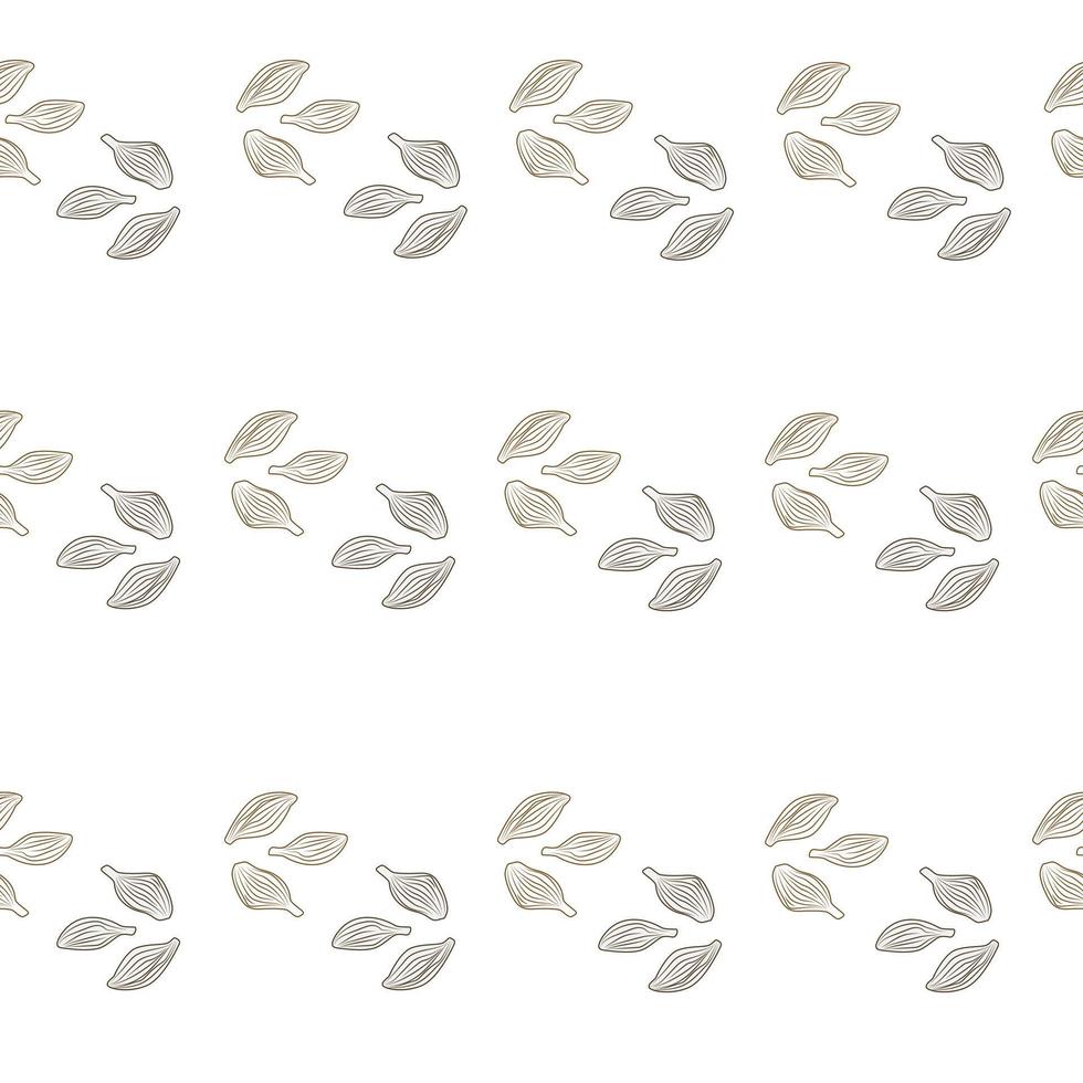 Seamless pattern cardamom on white background. Cute plant sketch ornament. Geometrical texture template for fabric. vector