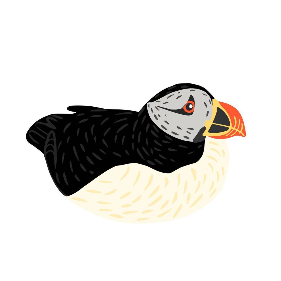 Puffin sit isolated on white background. Cute seabird lives by the ocean, has black and white color, has orange beak and legs. In doodle style vector