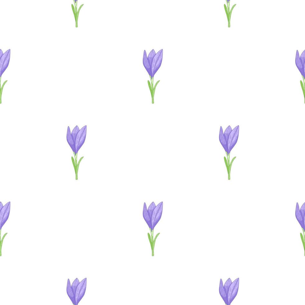 Isolated seamless doodle pattern with simple blue outline crocus flower elements. White background. vector