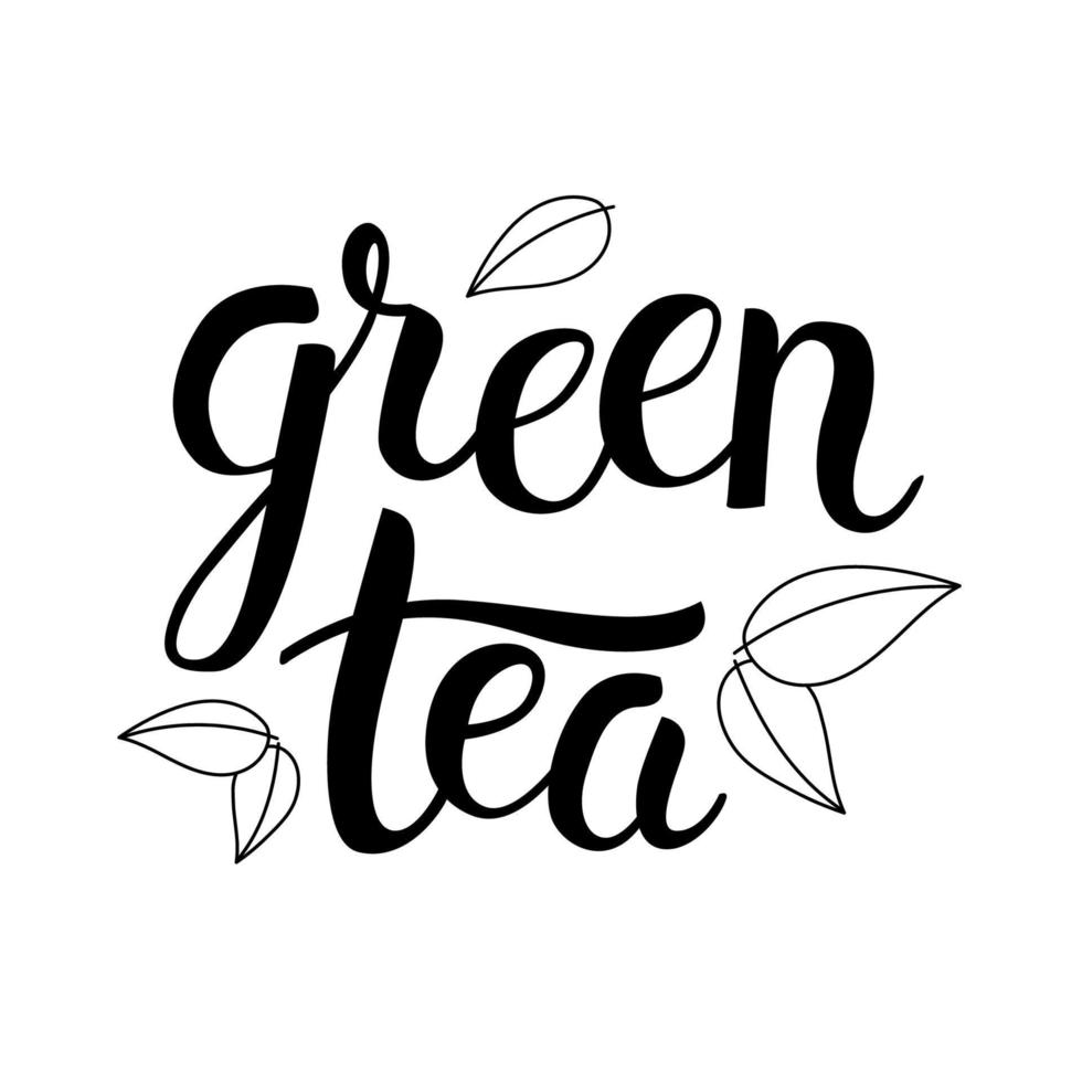 Green tea lettering and leaves. Hand drawn calligraphy and brush pen lettering phrase. vector