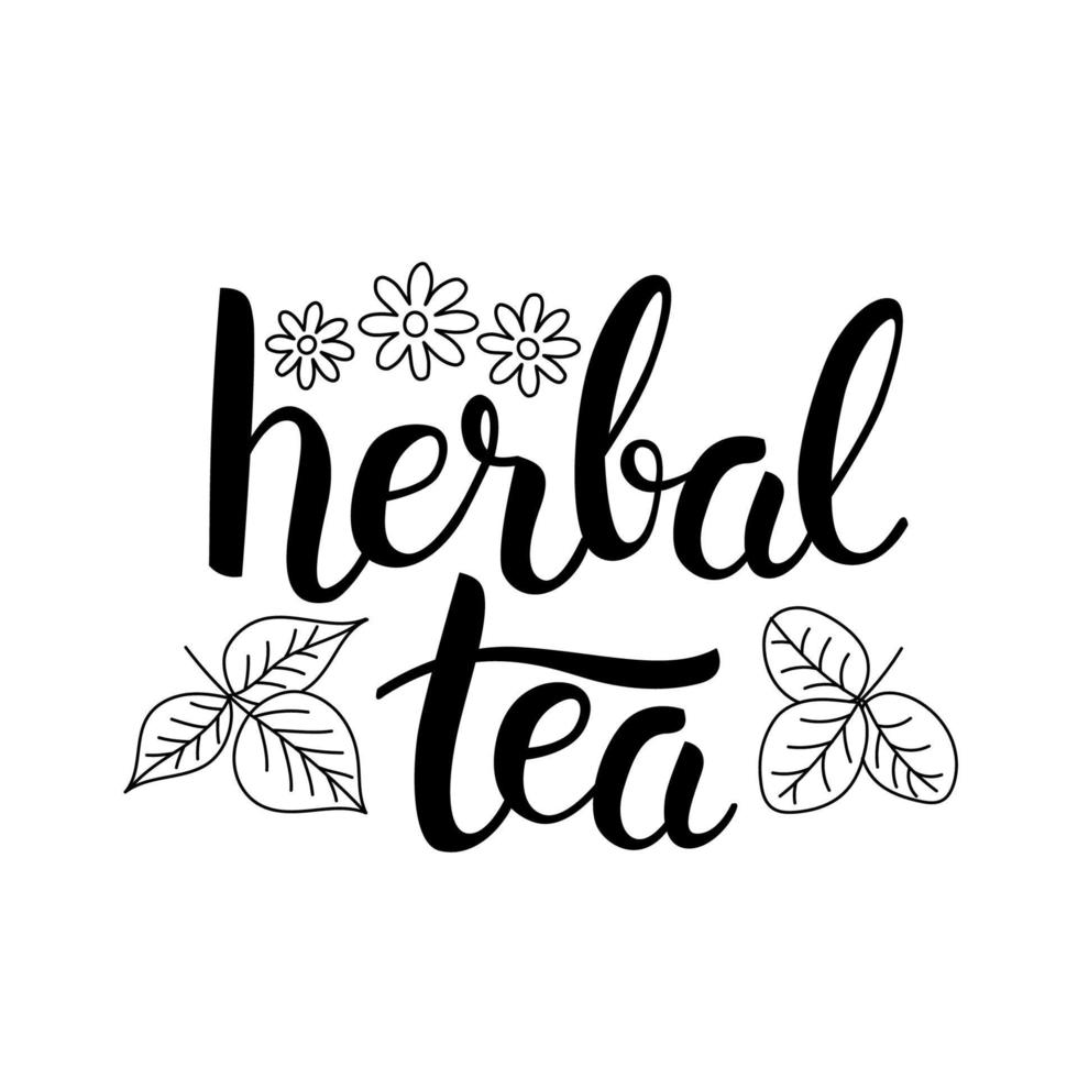 letras de té de hierbas, hojas de arte lineal y flores. caligrafía dibujada a mano y frase de letras de pincel. vector