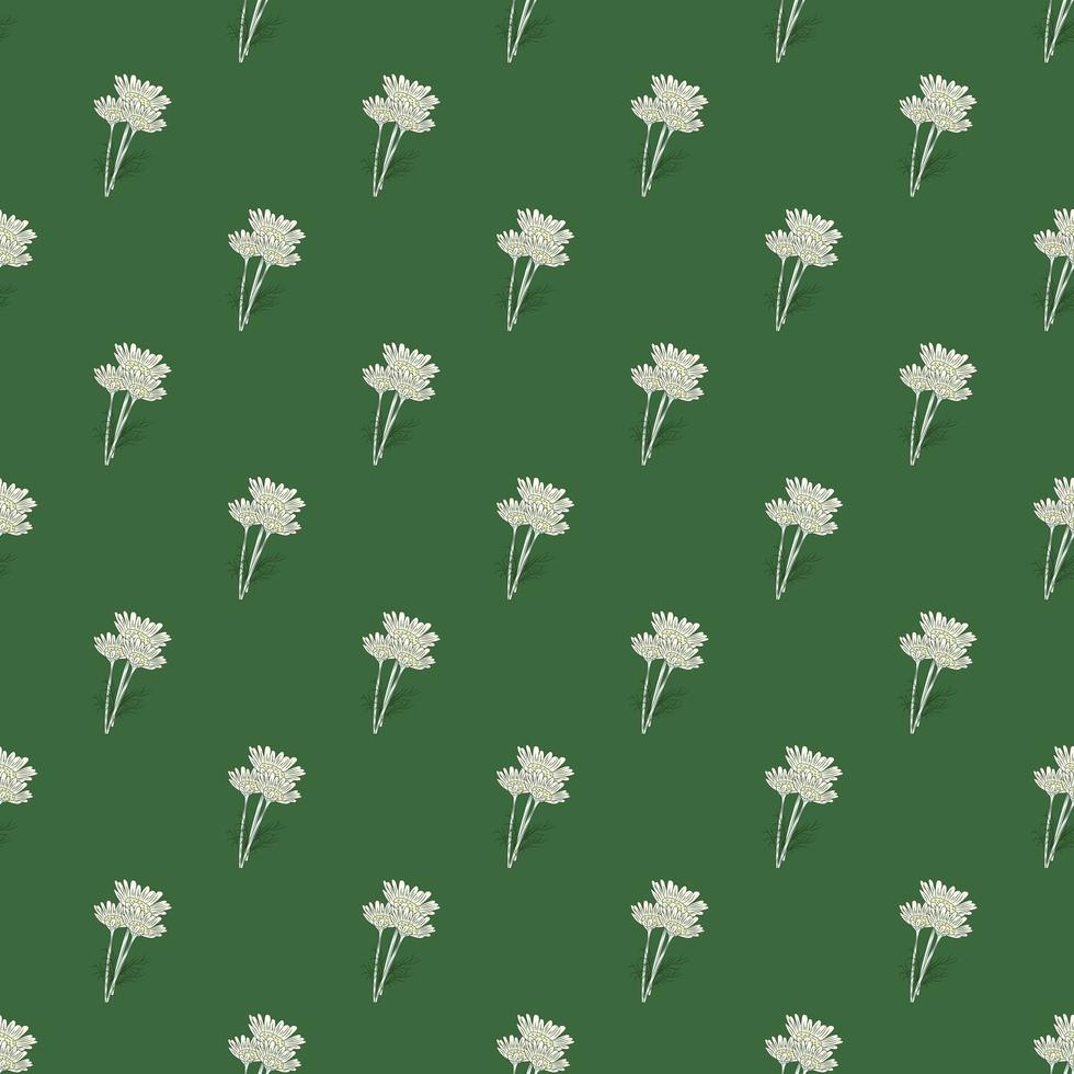 Seamless pattern chamomile on green background. Beautiful ornament summer flowers. vector