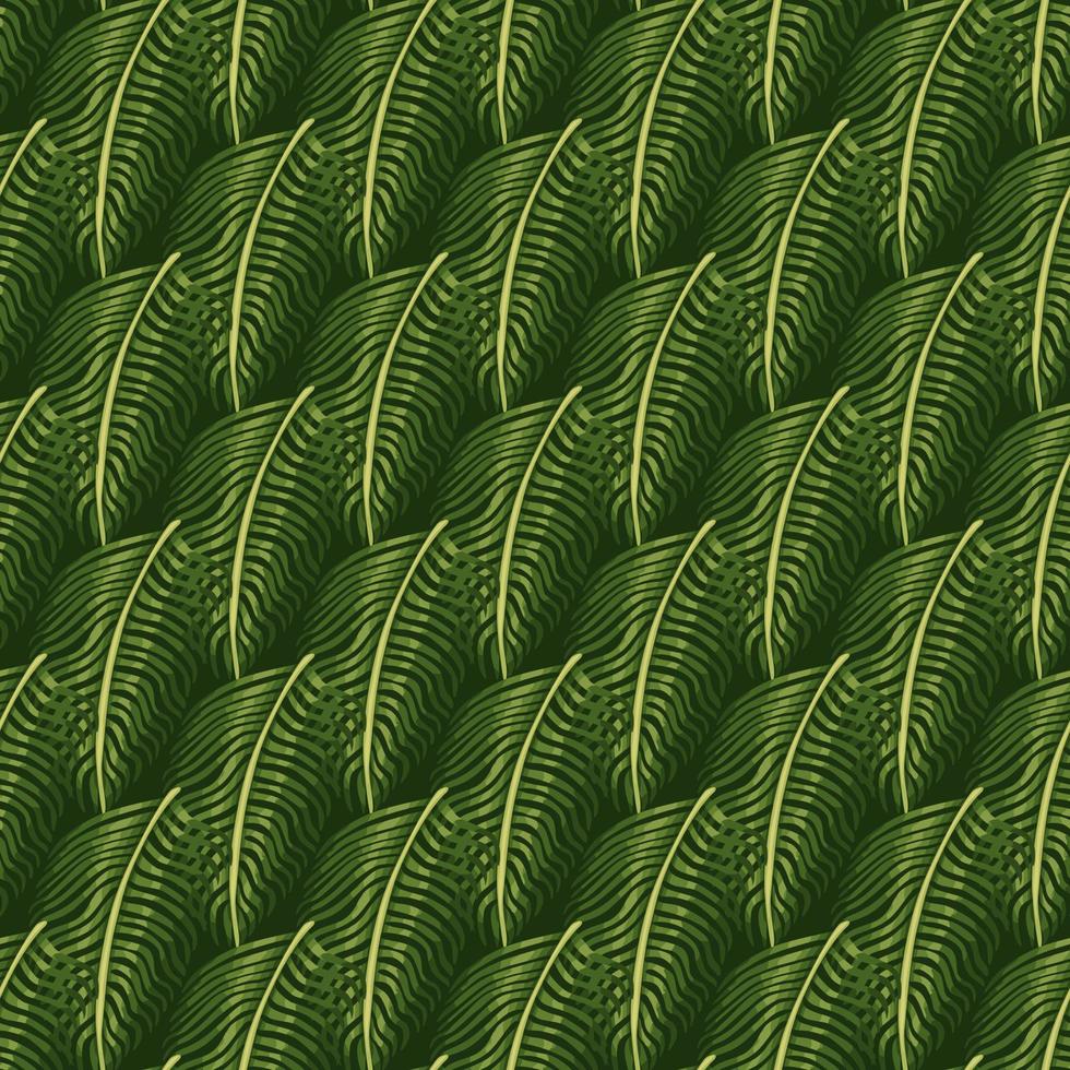 Hawaii seamless pattern with nature botanical fern ornament. Green foliage tropical elements. vector