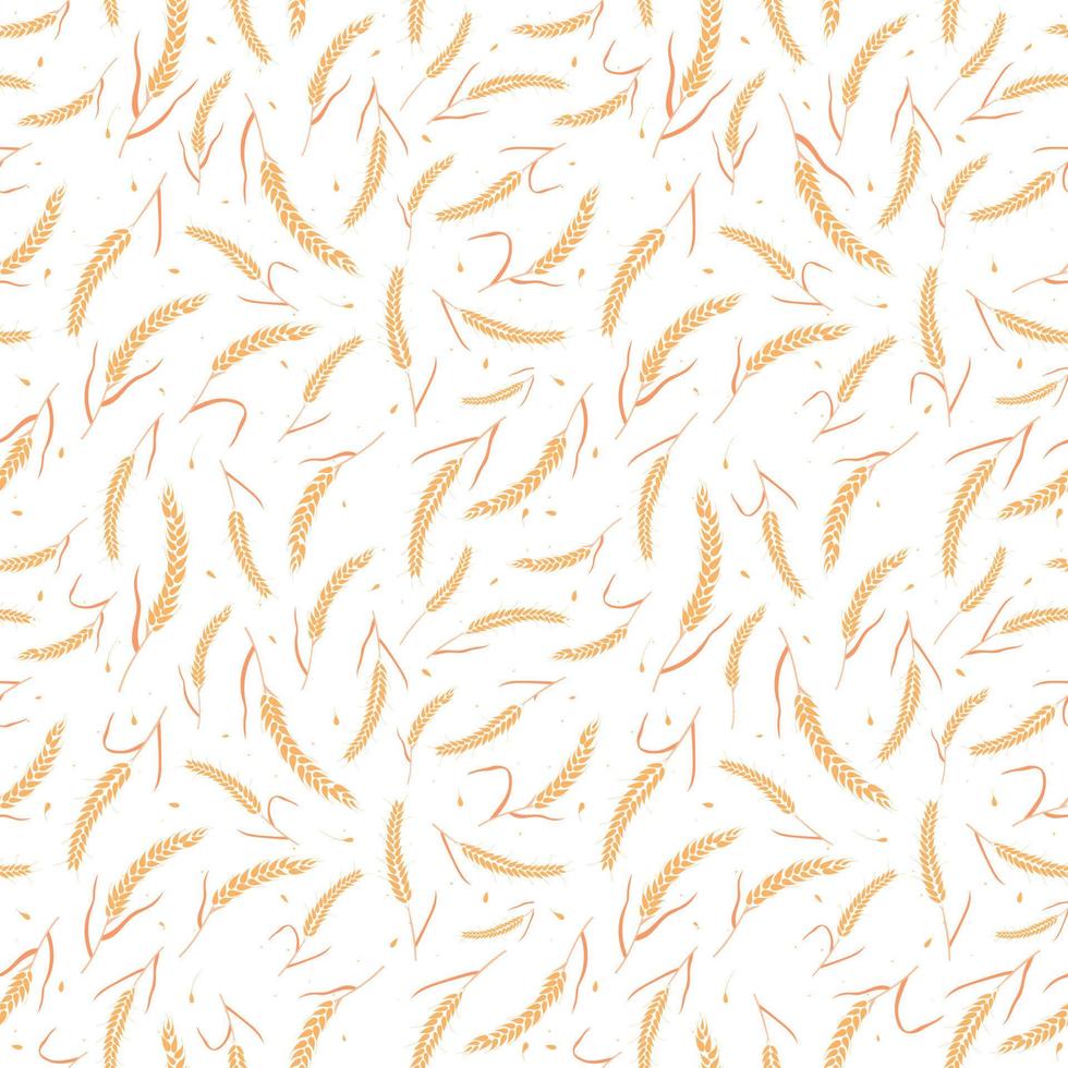 Seamless pattern with whole grain seeds organic, natural ears isolated on white background. vector