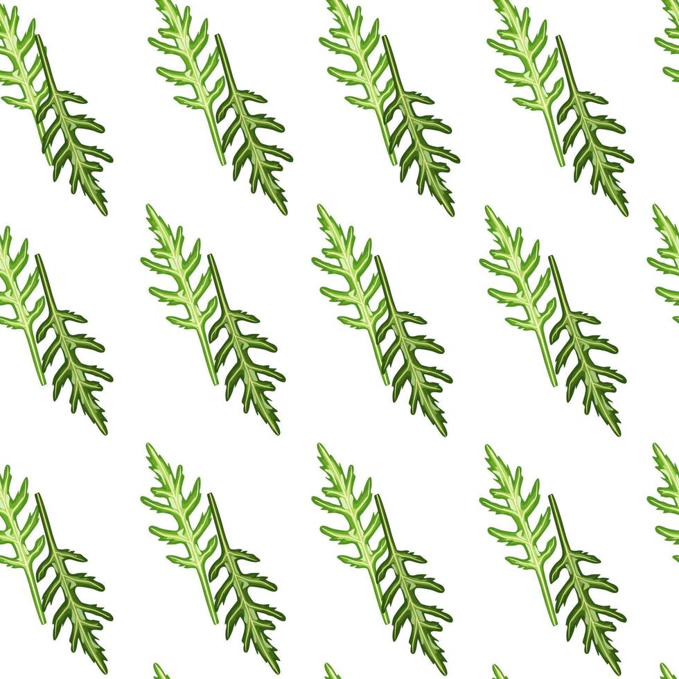 Seamless pattern bunch arugula salad on white background. Modern ornament with lettuce. vector