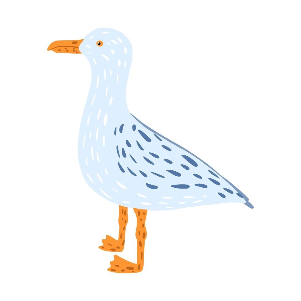 Gull standing isolated on white background. Funny cartoon character hand drawn sea nature. vector