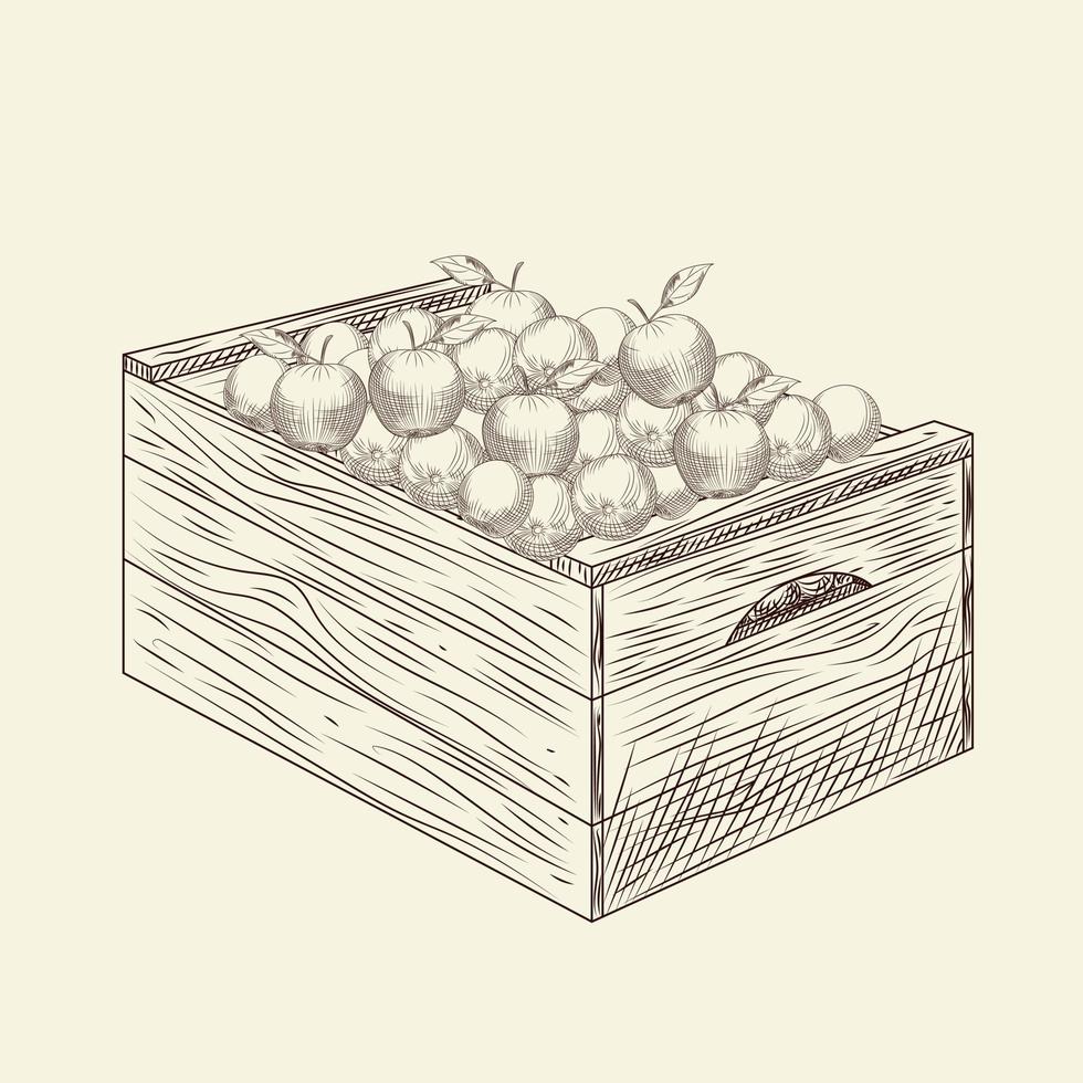 Full of fresh apple wooden crate box. Box of apples. vector