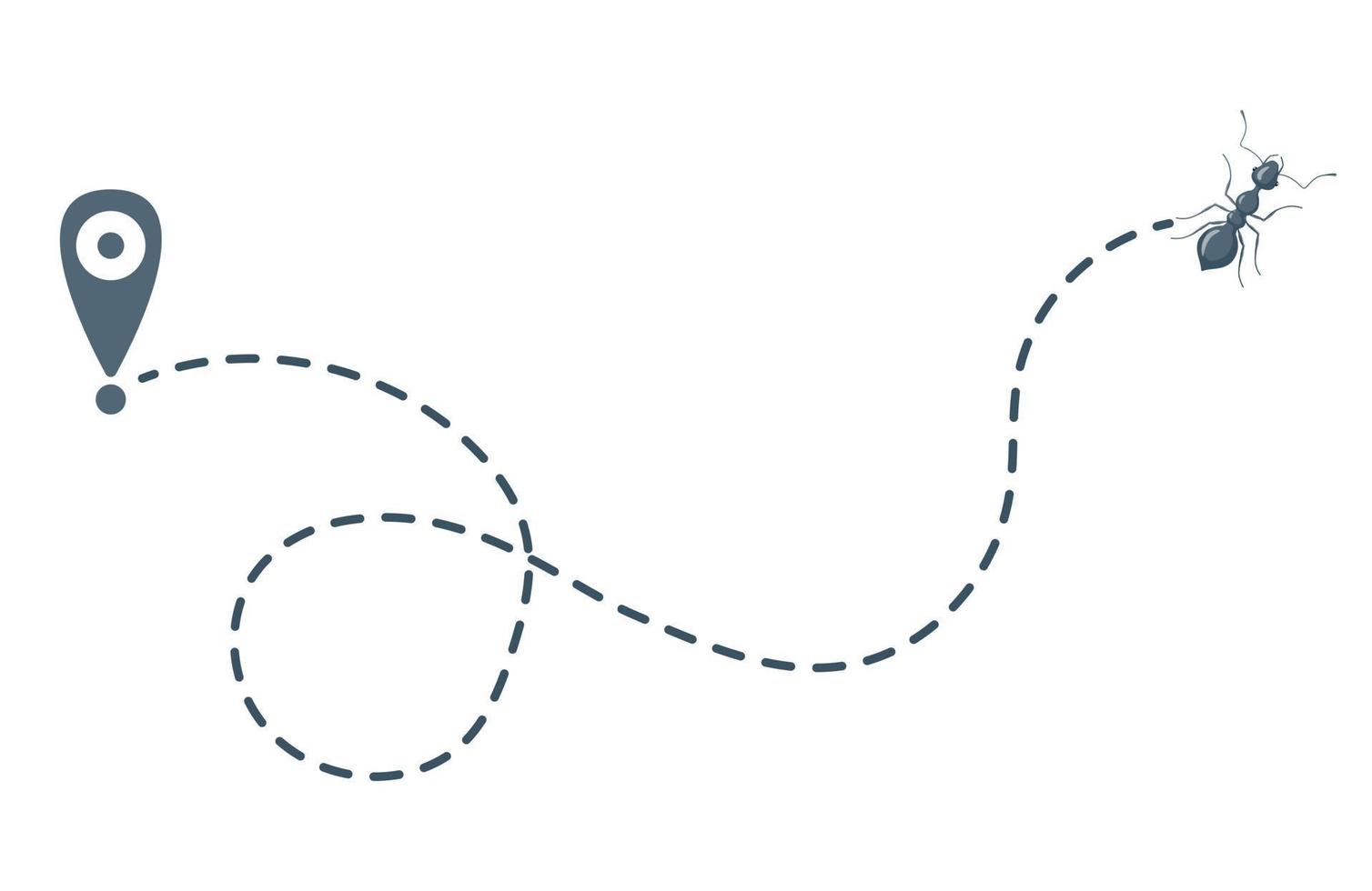 Tracking ants isolated on white background. Single ant moving in mapping signs . Design flat nature elements. vector