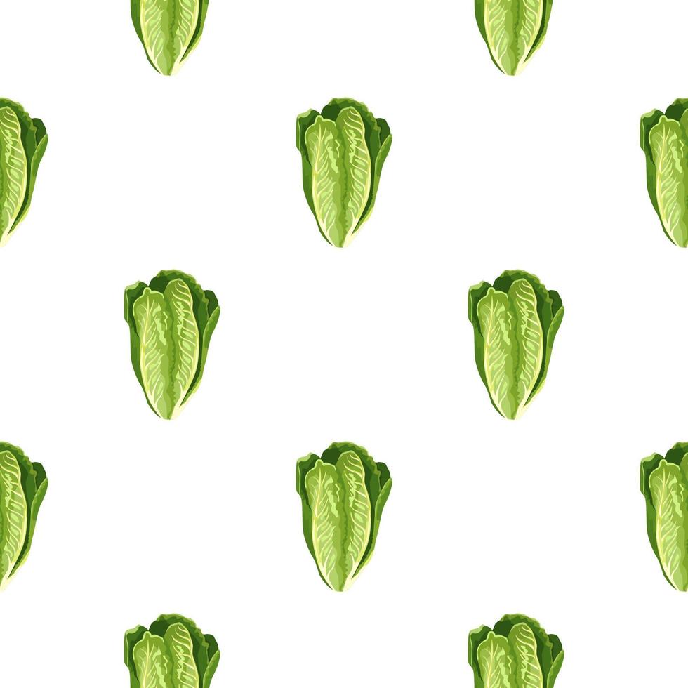 Seamless pattern salad Romano on white background. Minimalism ornament with lettuce. vector