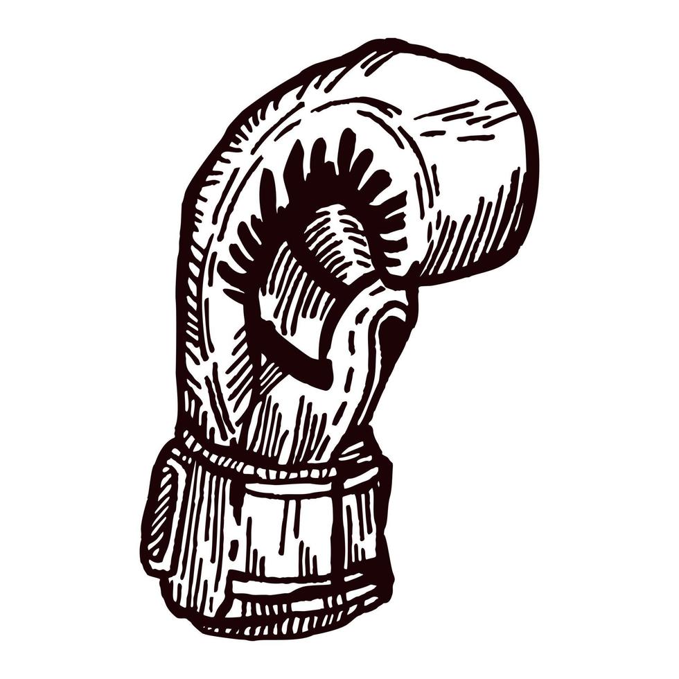 Boxing gloves side sketch isolated. Sporting equipment for boxing in hand drawn style. vector