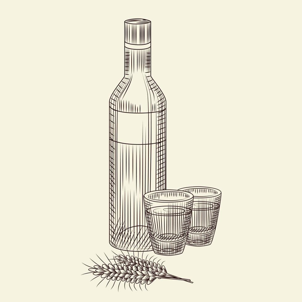 Bottle of vodka and two full shot drink. Hand drawn alcohol glass bottle sketch isolated vector