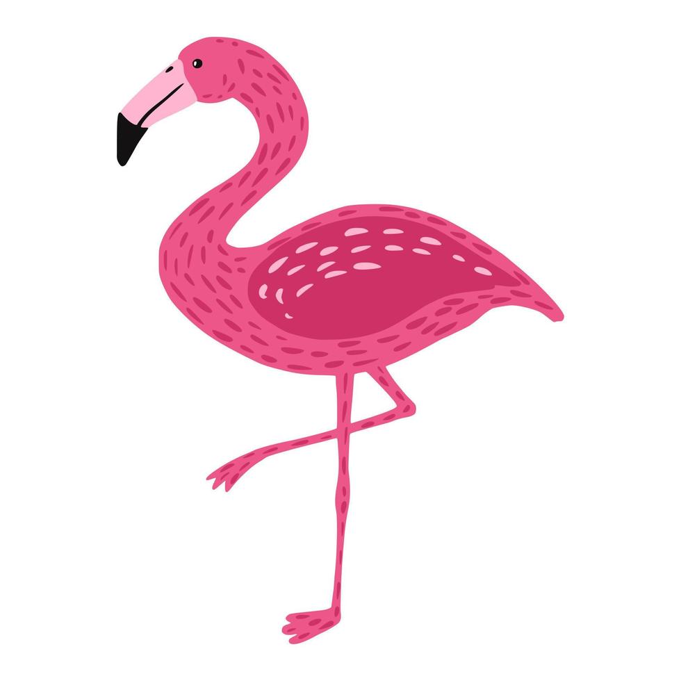 flamenco de pie sobre una pierna aislado sobre fondo blanco. lindo pájaro color rosa con cuello largo y patas. animal exótico de áfrica. en estilo garabato vector