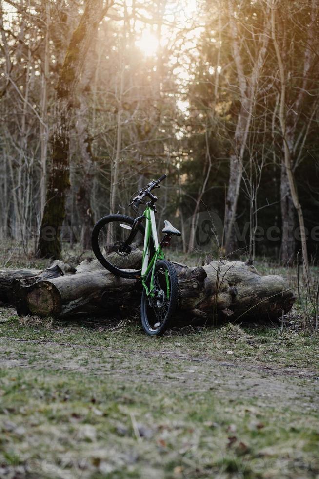 Mountain bike in spring forest photo