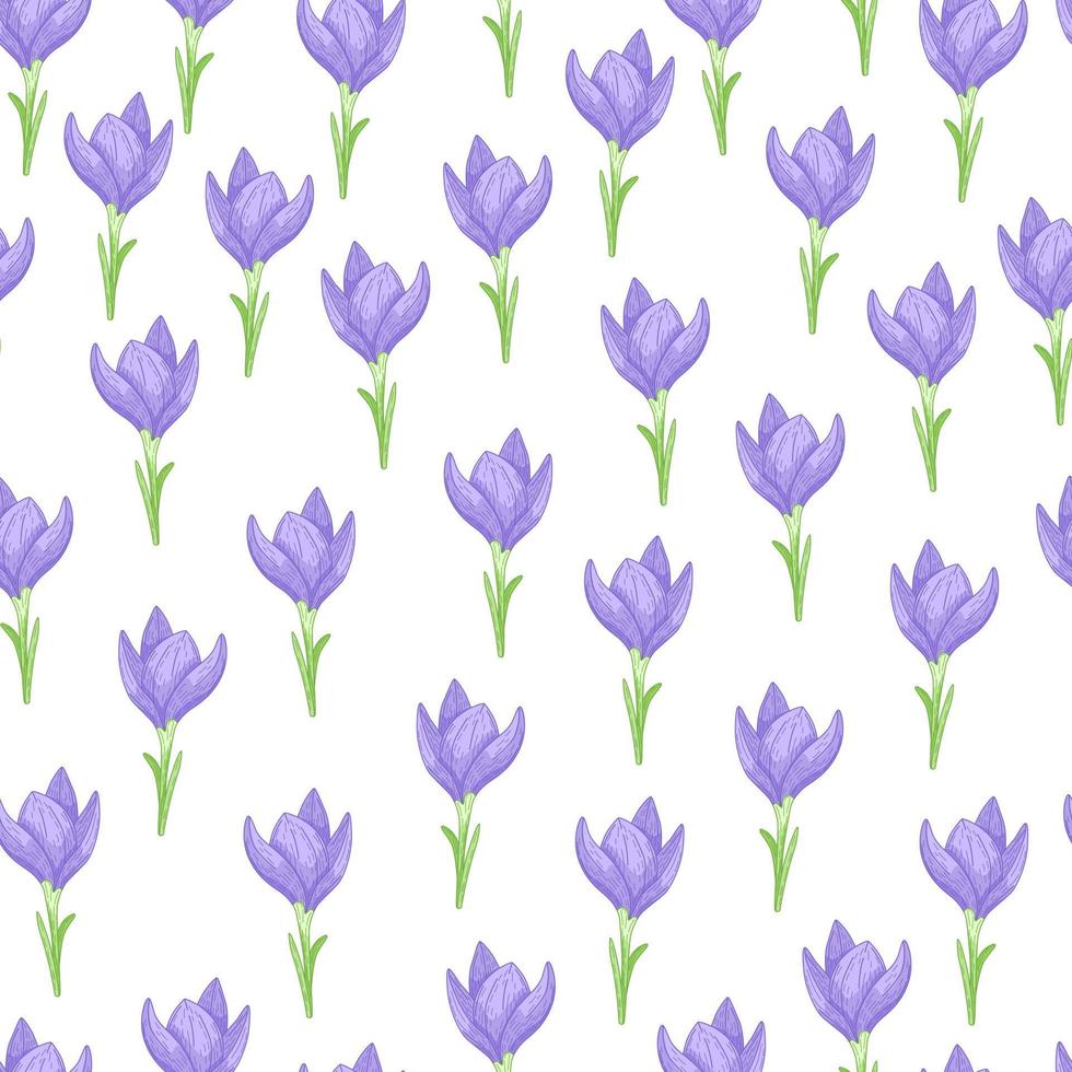 Seamless pattern with isolated blue crocus flowers little ornament. White background. Hand drawn floral backdrop. vector