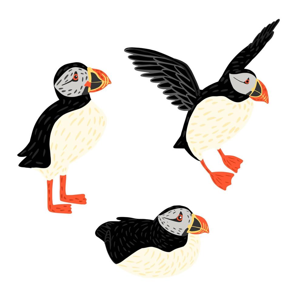 Set Puffins isolated on white background. Cute seabirds in different poses sit, stand, flying. Character Fratercula arctica in style doodle. vector