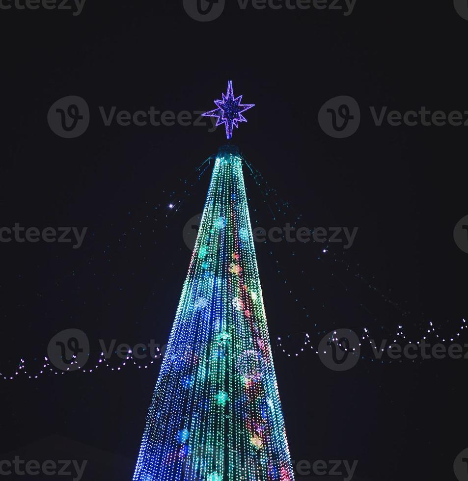 glowing Christmas tree photo