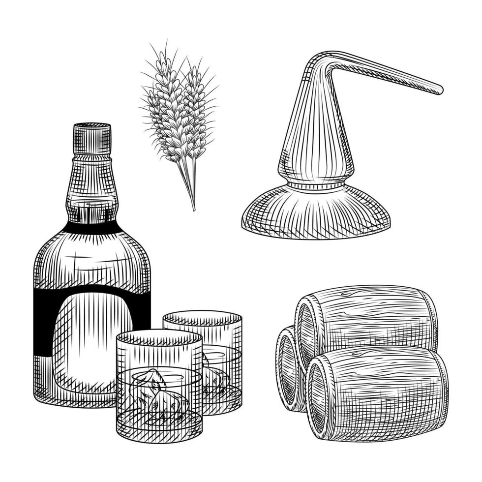Set of whiskey production process in hand drawn style. Bottle of whiskey, glass, barrel, wheat, distillation. vector
