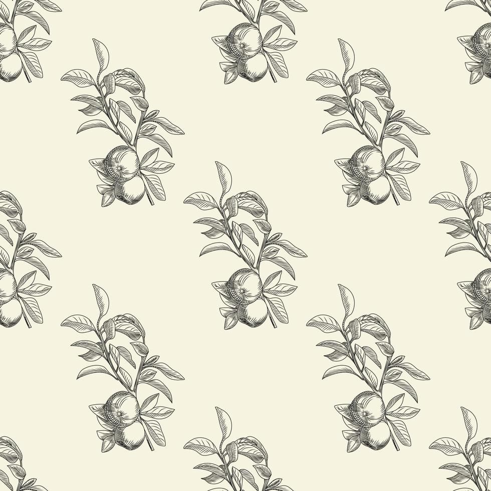 Apples seamless pattern in modern style. Hand draw fruit texture. vector